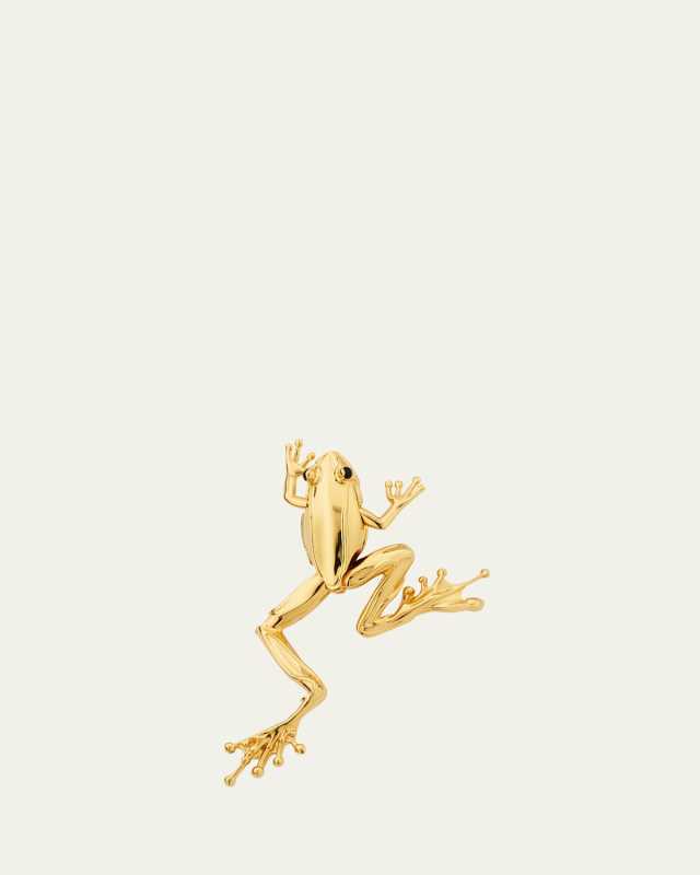 Rana Small Frog Brooch